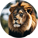 Akiira Francescar profile picture